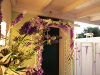 /album/galleria-fotografica/p1080658-jpg/