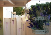 /album/galleria-fotografica/p1080640-jpg/