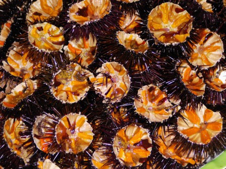 Ricci di mare 