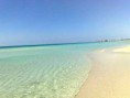 /album/spiagge/a450x337xpunta-p20prosciutto-jpg-pagespeed-ic-rw-pyz1m0tragubcz0ie-jpg/